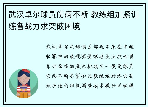 武汉卓尔球员伤病不断 教练组加紧训练备战力求突破困境